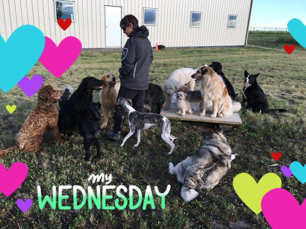 Annas Ark Dog Training, Walking and Boarding | RR 2, Blackie, AB T0L 0J0, Canada | Phone: (403) 684-3641