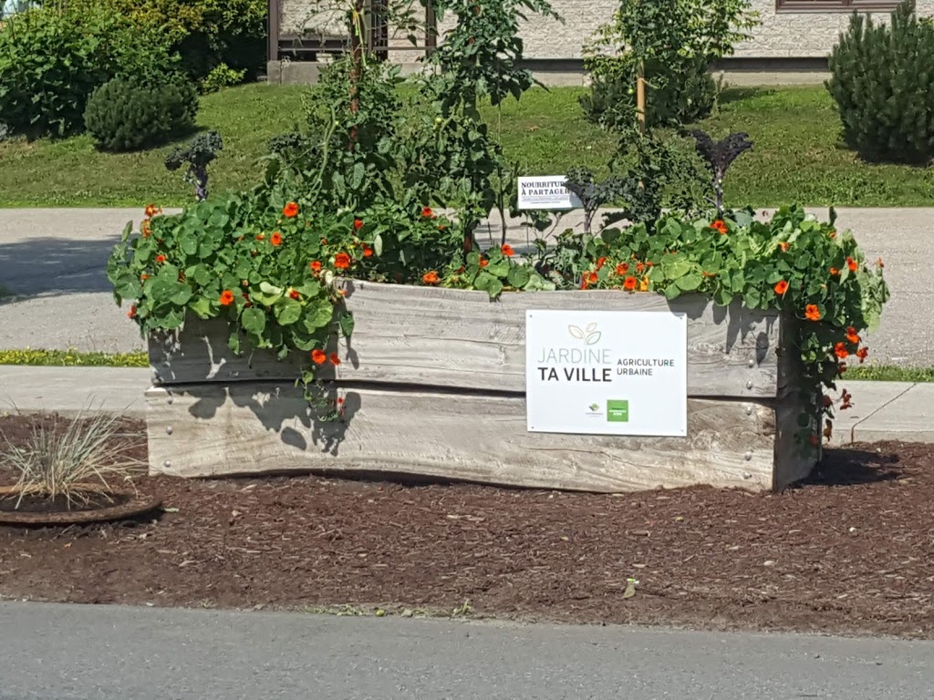 École Le Manège | 110 Rue du Manège, Victoriaville, QC G6P 9H4, Canada | Phone: (819) 758-1400
