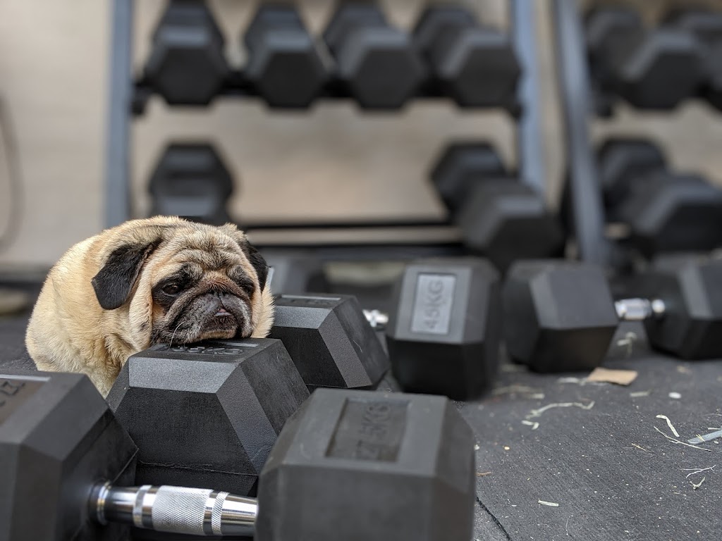 BC Gym Store | 799 Blackberry Rd, Victoria, BC V8X 1J6, Canada | Phone: (250) 743-6321