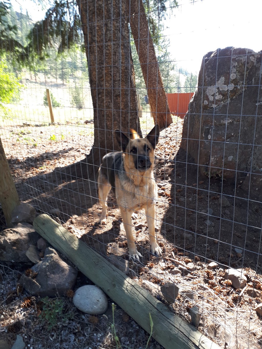 KARL Ranch | 3585 Bubar RD, RR2 S101 C28, Rock Creek, BC V0H 1Y0, Canada | Phone: (250) 486-3856