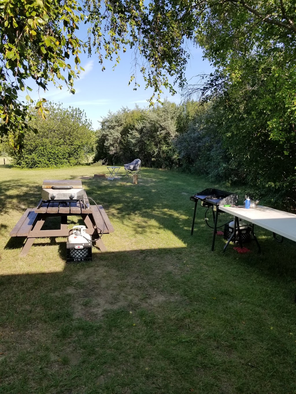 Emerson Bridge Park Campground | Newell County No. 4, AB T1R 1B2, Canada | Phone: (403) 362-1702