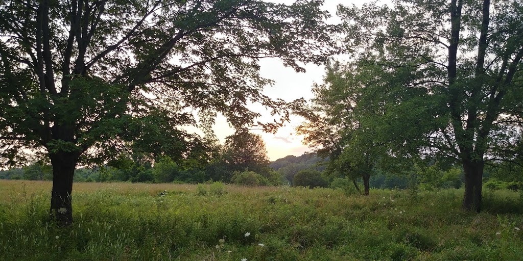 McMaster Conservation Corridor | Monarch Trail, Hamilton, ON L9H 5E3, Canada