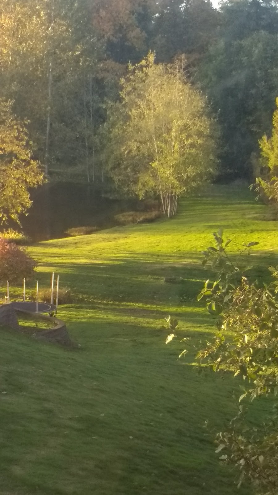 Heron Crest Park | 5961 Pacific Heights Dr, Ferndale, WA 98248, USA | Phone: (360) 685-2379