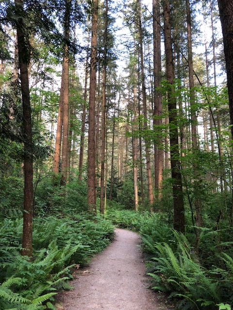 Langley municipal natural park | Langley Twp, BC V2Z 2W5, Canada