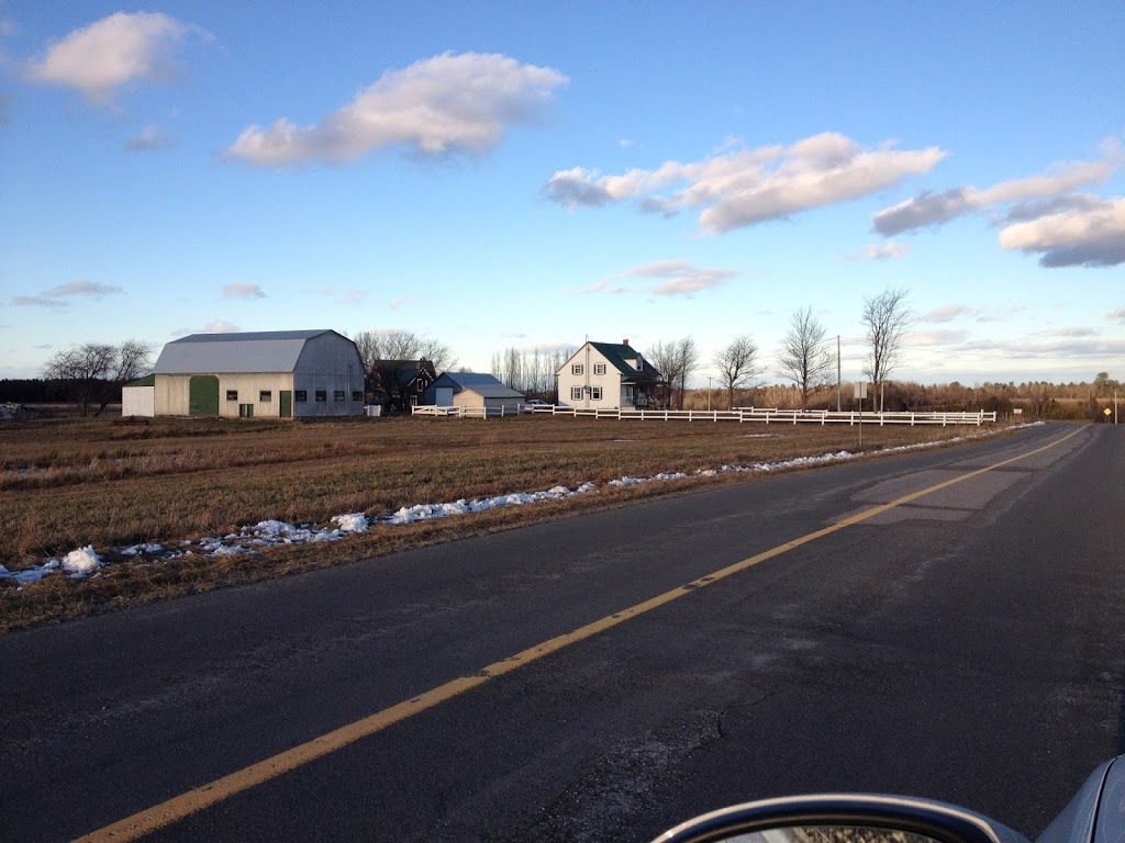 Domaine Les Pignons Verts - Vignoble | 10130 Chemin du St Laurent, Bécancour, QC G9H 3E8, Canada | Phone: (819) 294-6001