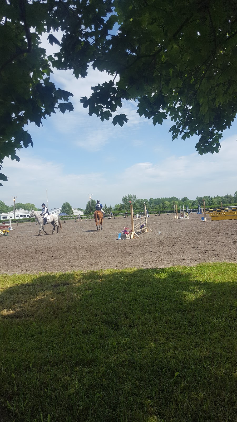 Dreamcrest Equestrian Services | 2130 Shirley Rd, Port Perry, ON L9L 1B3, Canada | Phone: (905) 985-1599