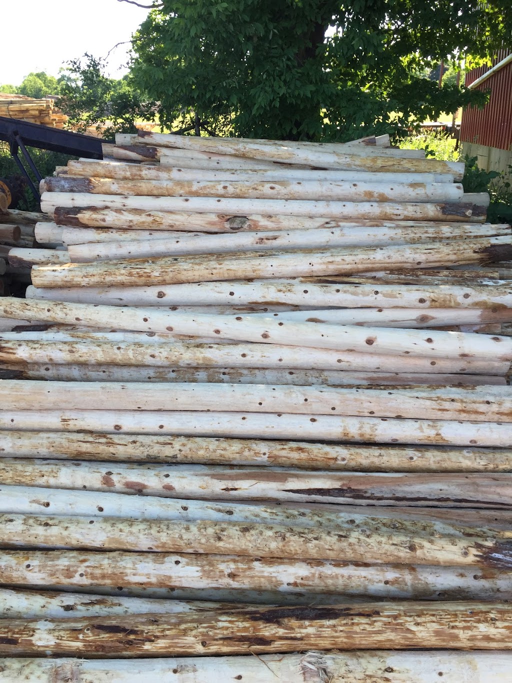 Hayes Timber Inc. | 7 N Diagonal, Hepworth, ON N0H 1P0, Canada | Phone: (519) 534-2067