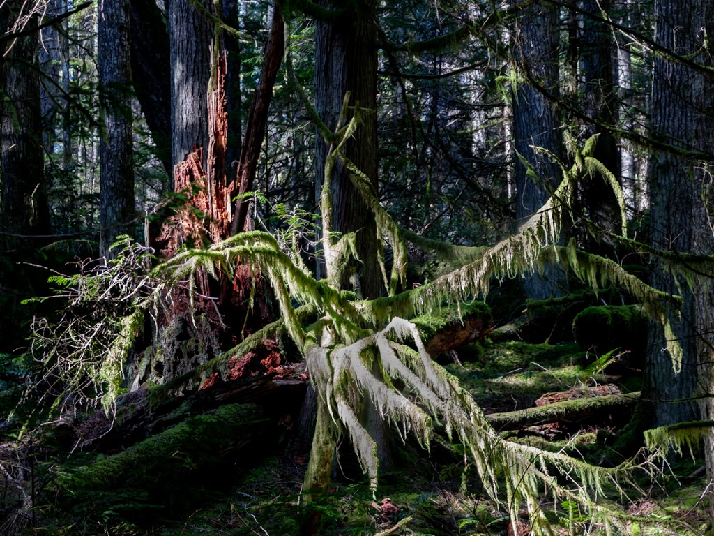 Homesite Creek / Secret Cove Recreation Area | 9844 Sunshine Coast Hwy, Halfmoon Bay, BC V0N 1Y2, Canada | Phone: (604) 883-9307