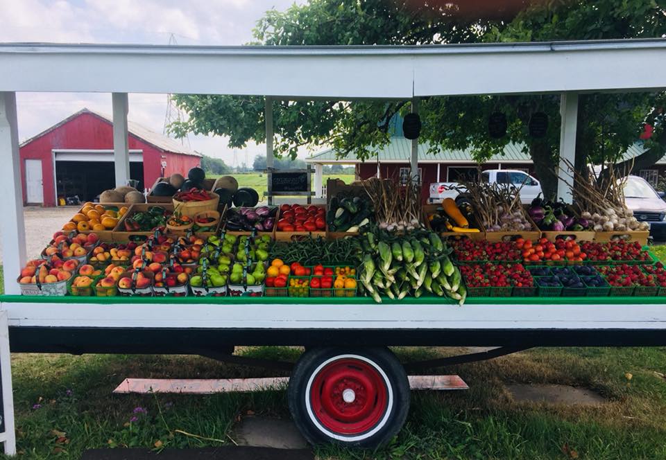 Small Scale Farms | 13145 Lundys Ln, Allanburg, ON L0S 1A0, Canada | Phone: (844) 769-7333