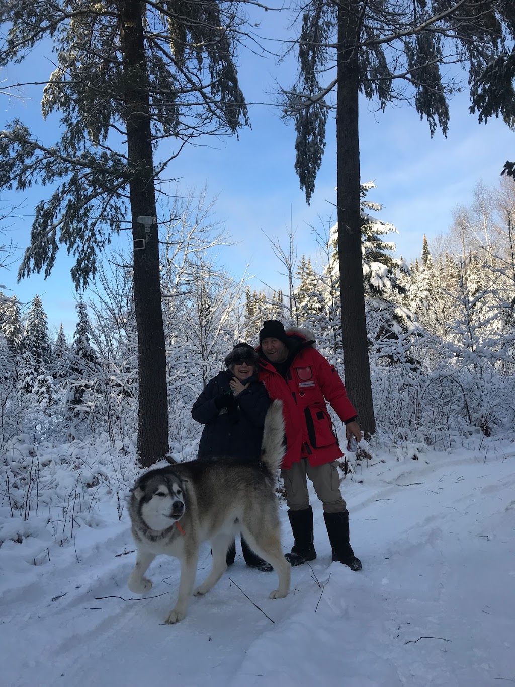 LeTerrain | 528 Chemin Fierobin, Ladysmith, QC J0X 2A0, Canada | Phone: (514) 827-6122