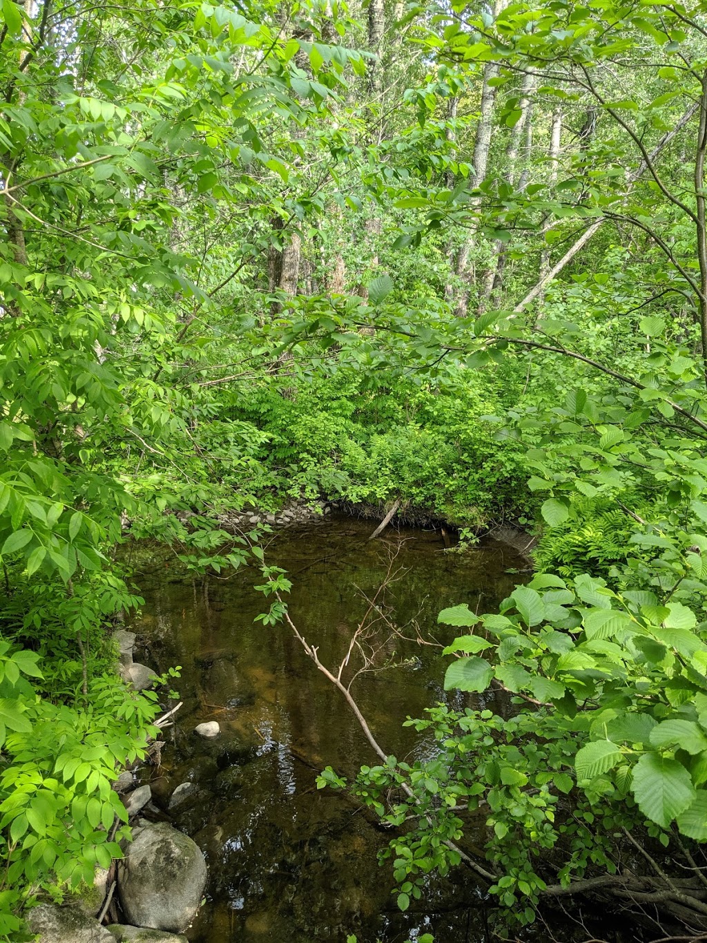 Sentier des Marais | 483 Rue Principale, Piopolis, QC G0Y 1H0, Canada | Phone: (819) 583-3953