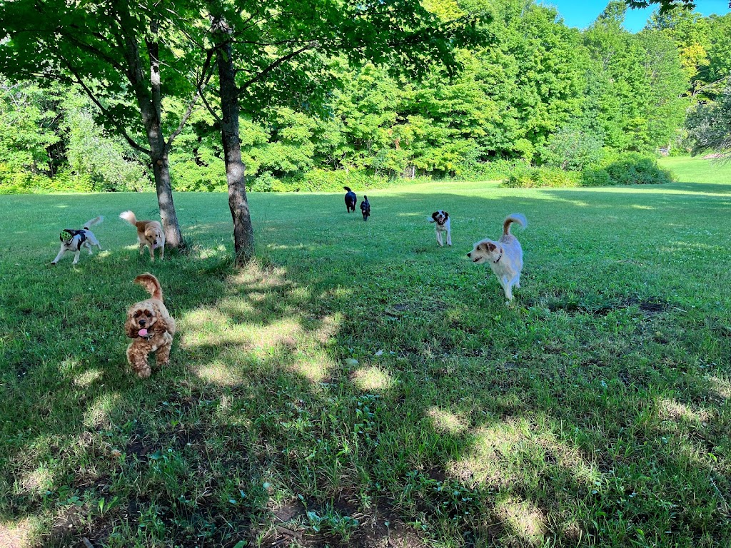 Dream Acres Pet Resort | 355 Bowland Rd, Clayton, ON K0A 1P0, Canada | Phone: (613) 256-0687