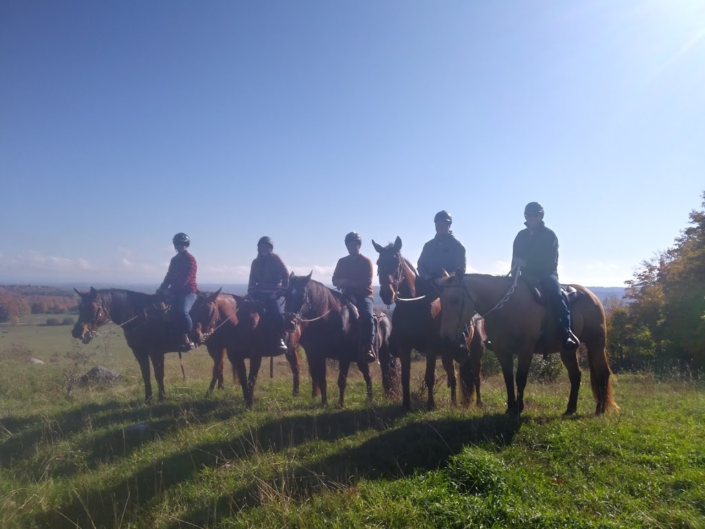Peace Valley Ranch Ltd | 638135 Prince of Wales Rd W, Mulmur, ON L9V 0C5, Canada | Phone: (519) 925-6628