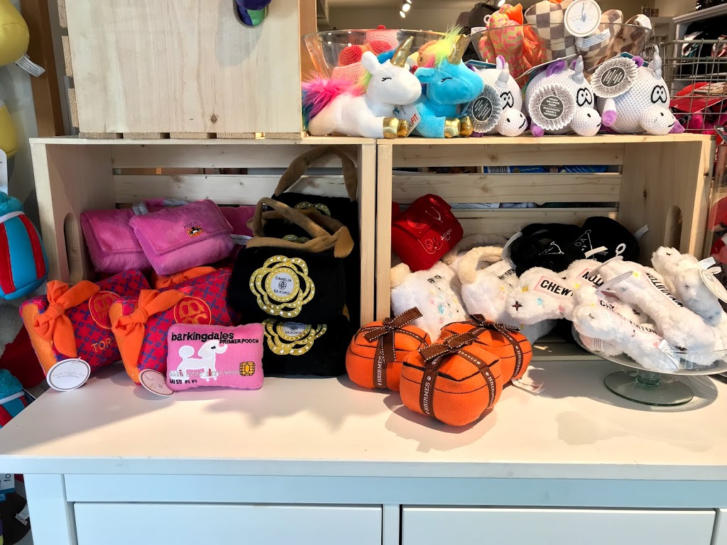 Doodle Dogs Inc | 3b Parkdale Crescent NW, Calgary, AB T2N 3T8, Canada | Phone: (587) 349-3647
