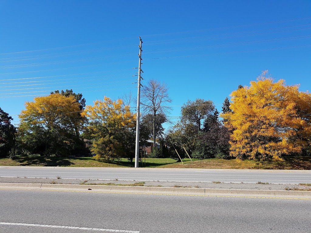 Corsair Public School | 2230 Corsair Rd, Mississauga, ON L5A 2L9, Canada | Phone: (905) 279-1511