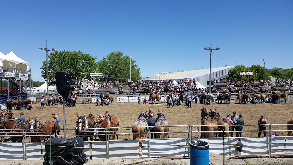Festival de lÉrable de Plessisville | 1049-1051 Rue St Jean, Plessisville, QC G6L 3S9, Canada | Phone: (819) 621-5285