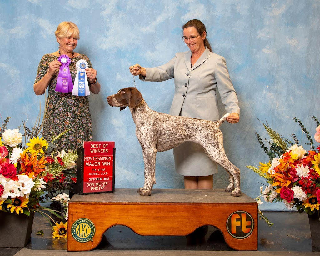 SevenStars German Shorthaired Pointers | 9675 Hwy 33 Suite 201, Bath, ON K0H 1G0, Canada | Phone: (343) 477-0143
