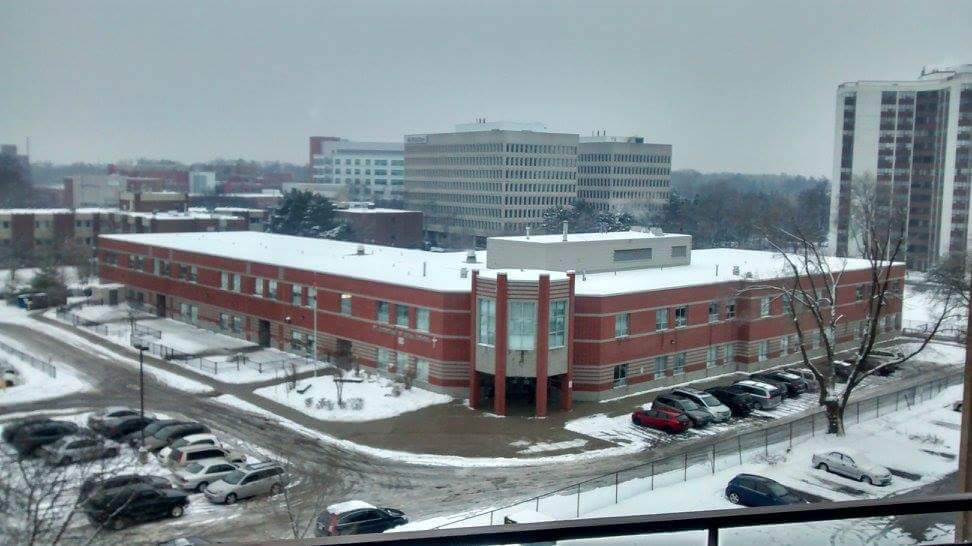 St. Catherine of Siena Elementary School | 2350 Hurontario St, Mississauga, ON L5B 1N1, Canada | Phone: (905) 277-2448