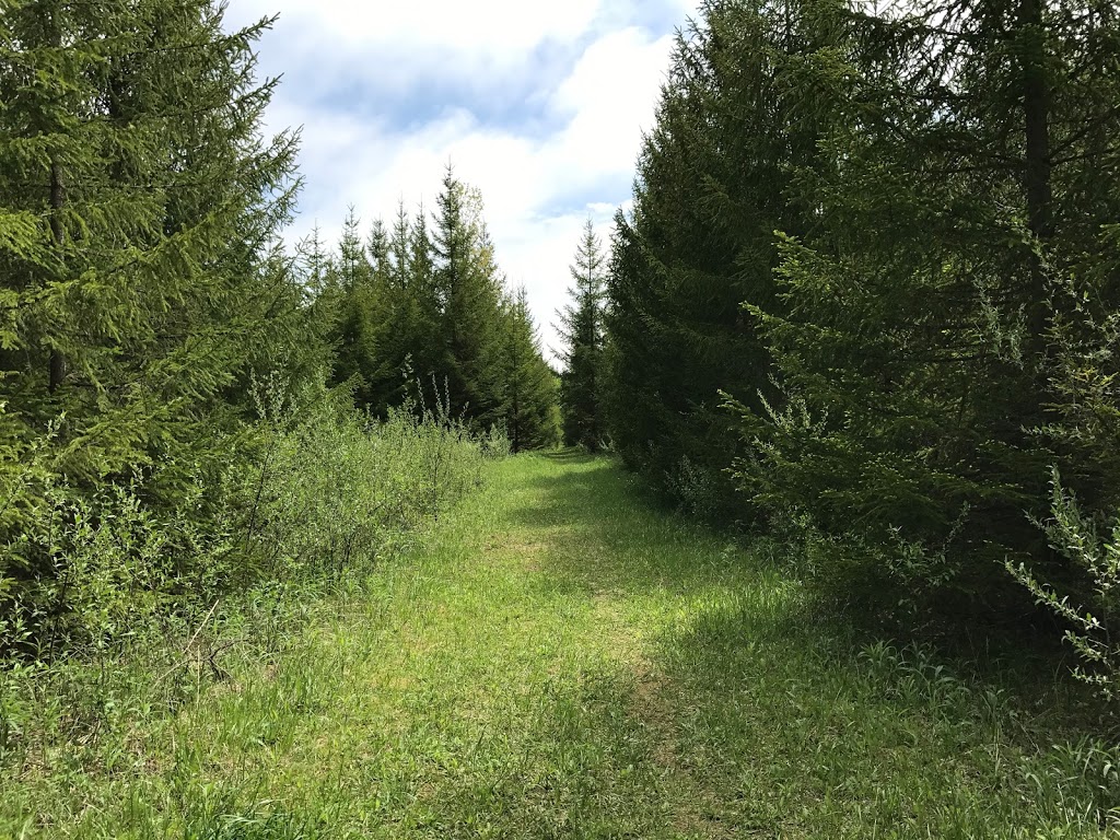 Joanys Woods | Unnamed Road, Lambton Shores, ON N0M 2N0, Canada