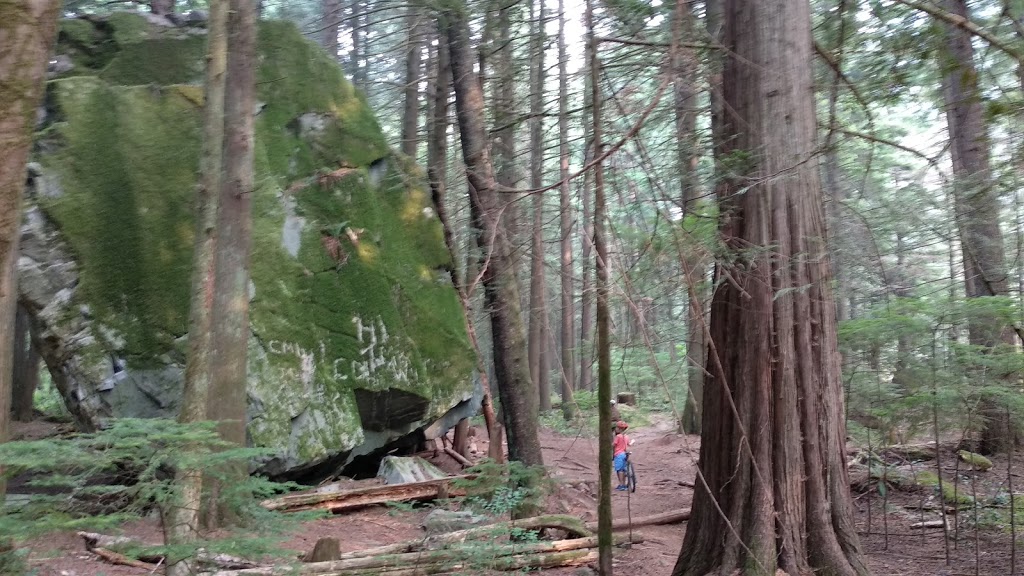 Mountain Fun Base Camp | 1796 Depot Rd, Squamish, BC V8B 0P6, Canada | Phone: (604) 390-4200