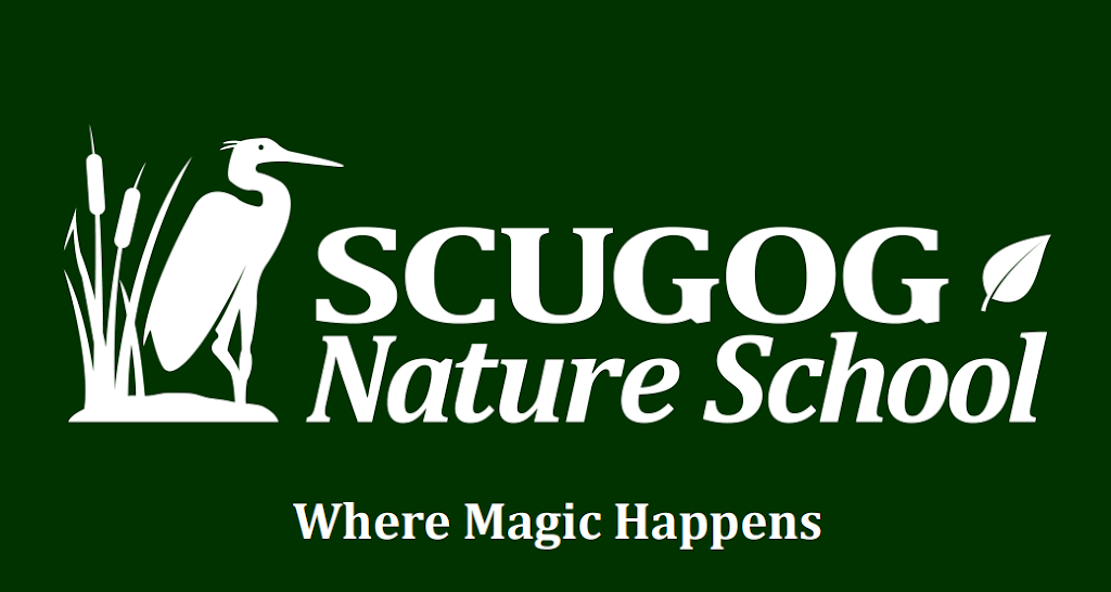 Scugog Nature School | 19400 St Christophers Beach Rd, Nestleton, ON L0B 1L0, Canada | Phone: (905) 986-4401