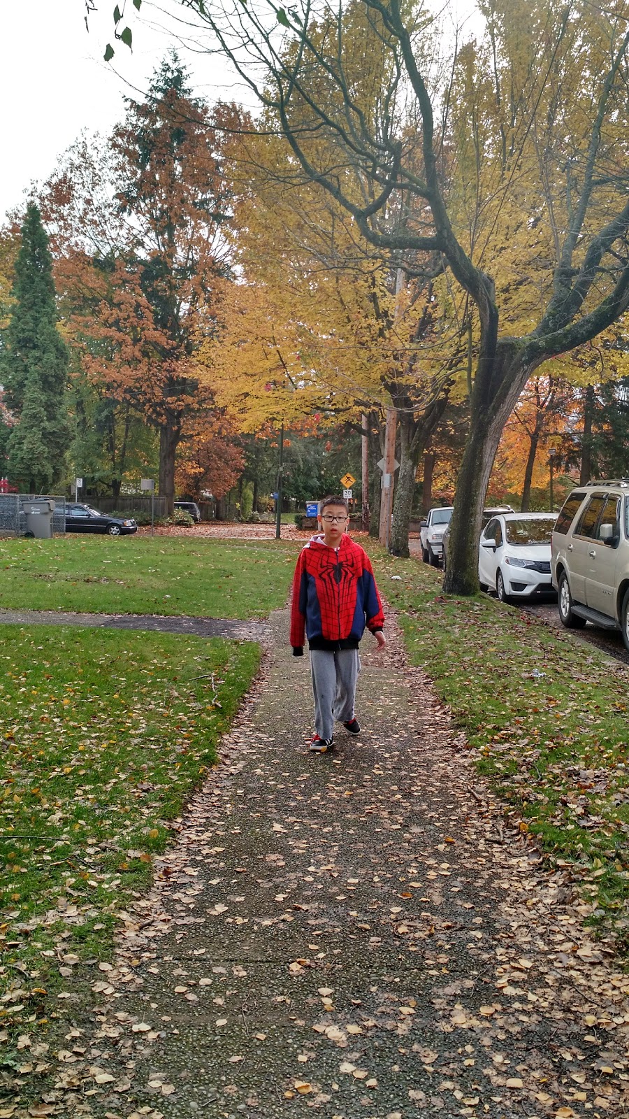 Braemer Park | 895 W 27th Ave, Vancouver, BC V5Z 2G8, Canada | Phone: (604) 873-7000