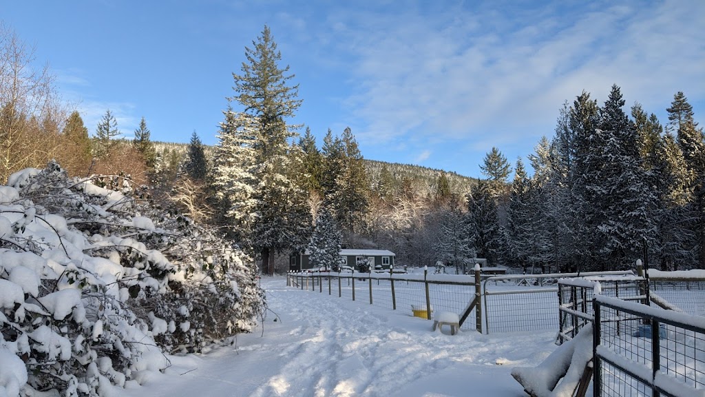 Woofs of Wisdom | Burton Rd, Gibsons, BC V0N 1V2, Canada | Phone: (604) 861-9663