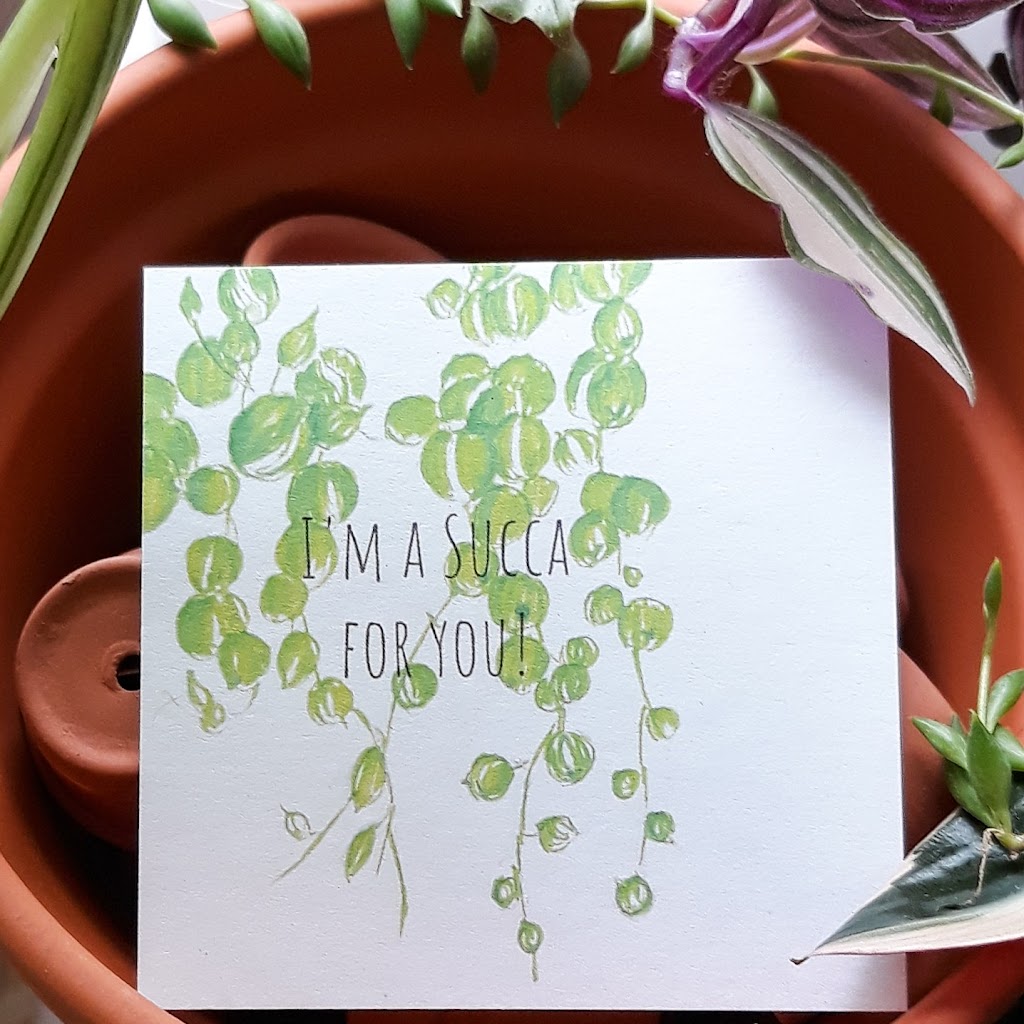 Plant Designs by Merry | 2093 Bur Oak Ave, Markham, ON L6E 0C5, Canada | Phone: (416) 648-5956