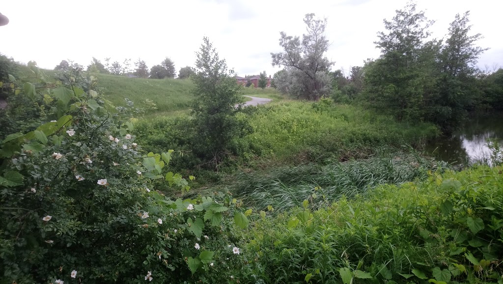 Sanwood Park | 20 Sanwood Blvd, Scarborough, ON M1V 0A4, Canada