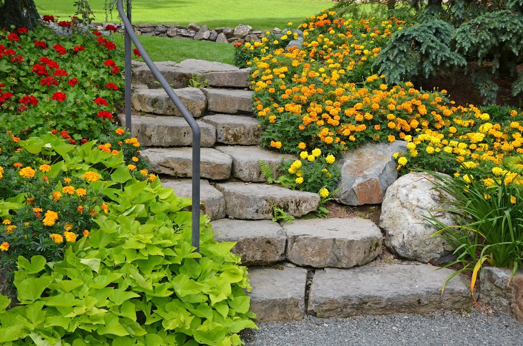 Waterfront Property Services | 2238 Elana Dr, Orillia, ON L3V 0C2, Canada | Phone: (705) 817-7773