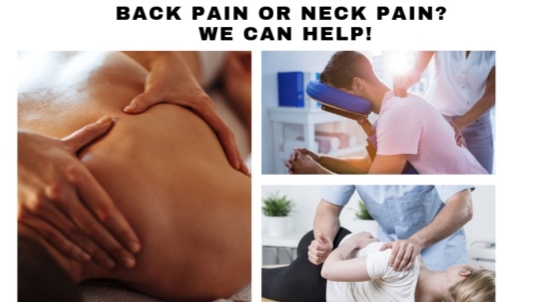 Trinity Spine Health and Wellness Centre | 3526 Bathurst St, North York, ON M6A 2C6, Canada | Phone: (647) 860-6071