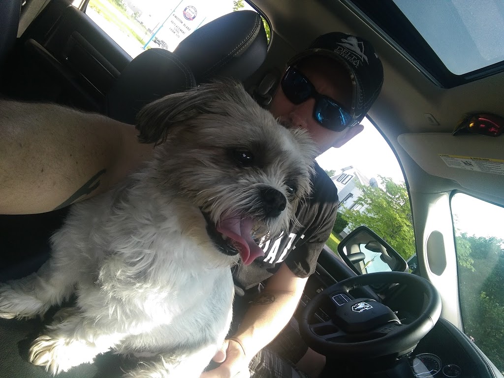 Cataraqui Pet Hospital | 1183 Midland Ave, Kingston, ON K7P 2X8, Canada | Phone: (613) 384-0986