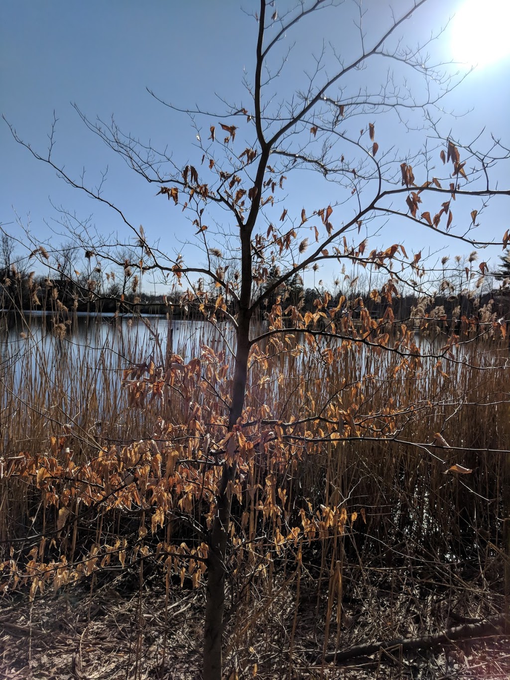 Sinking Pond Wildlife Sanctuary | East Aurora, NY 14052, USA