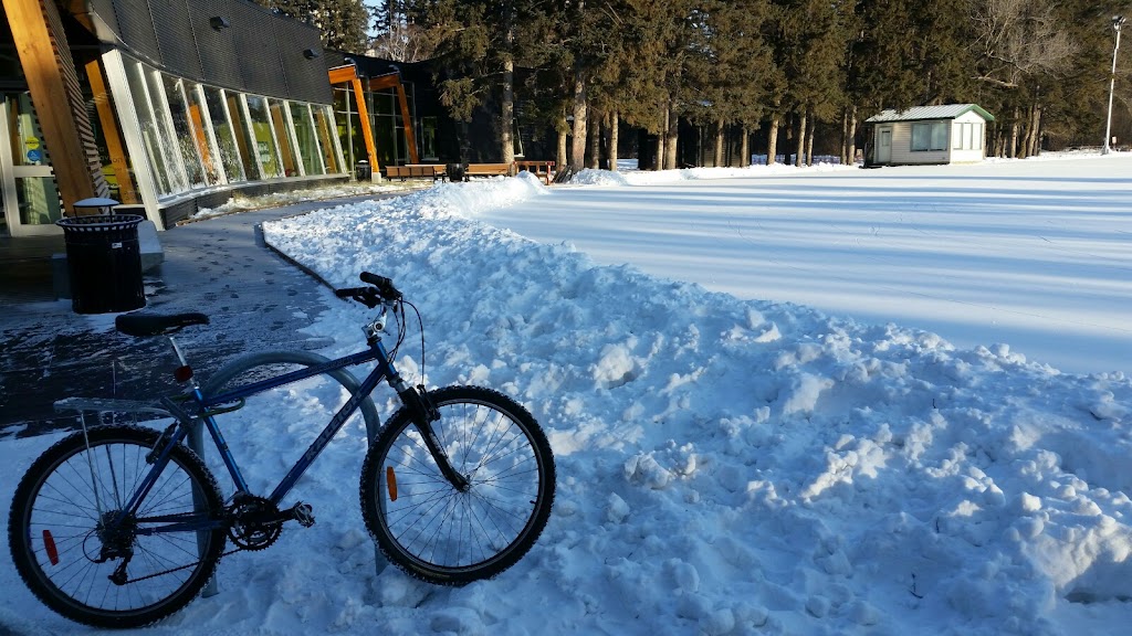 Victoria IceWay Skating Trail | 12030 River Valley Rd NW, Edmonton, AB T5K 1L4, Canada | Phone: (780) 442-5311