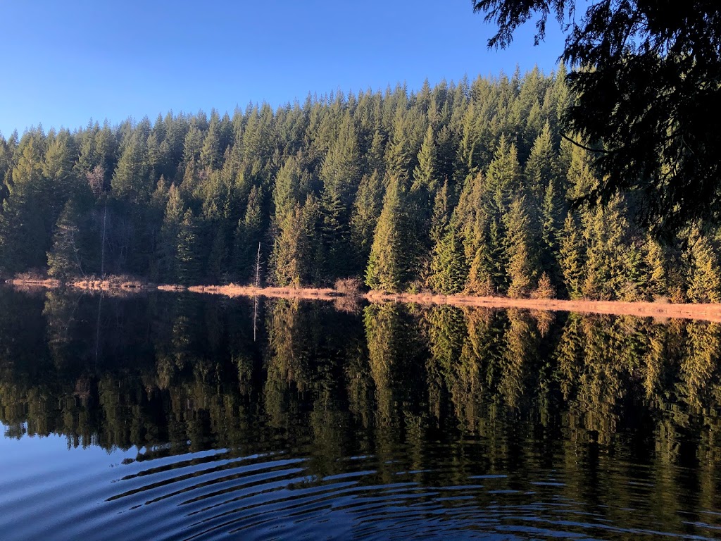 Rolley Lake Provincial Park | Bell St, Mission, BC V4S 1C6, Canada | Phone: (604) 466-8325