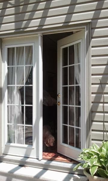 Eugenia Falls Guesthouse | 160 Pellisier St, Flesherton, ON N0C 1E0, Canada | Phone: (519) 924-0234