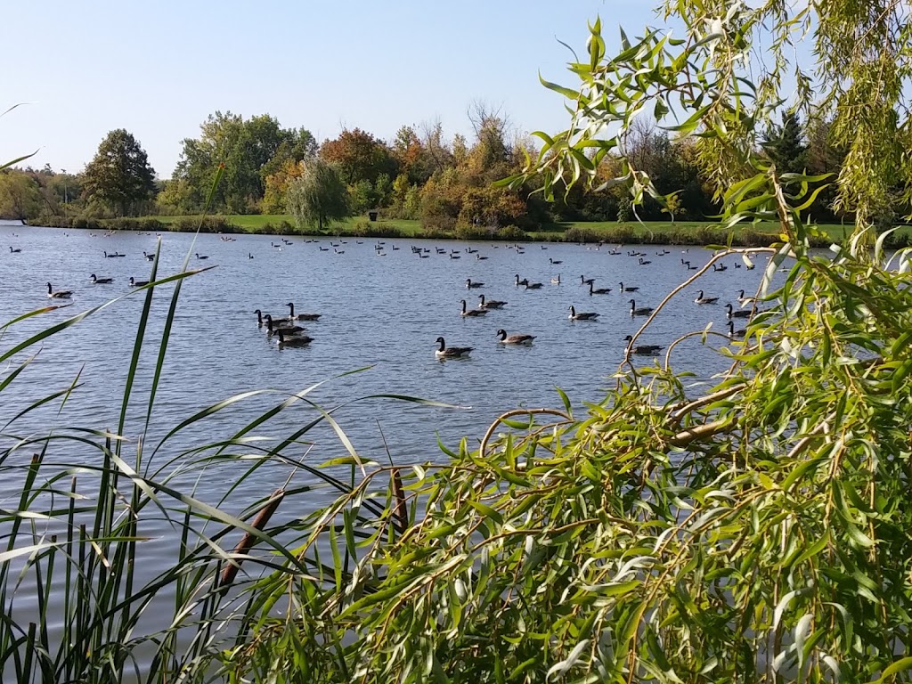 Centenial Park Picnic area 8 | Park, Toronto, ON M9C, Canada