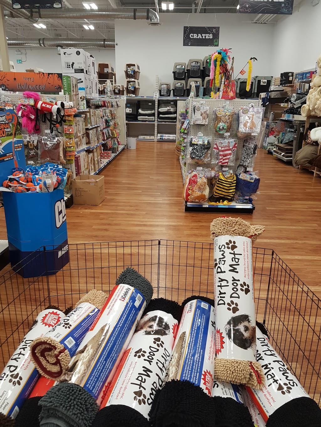 Rens Pets Depot | store | 81 Billy Bishop Way, North York, ON M3K 2C8, Canada | 4166386002 OR +1 416-638-6002