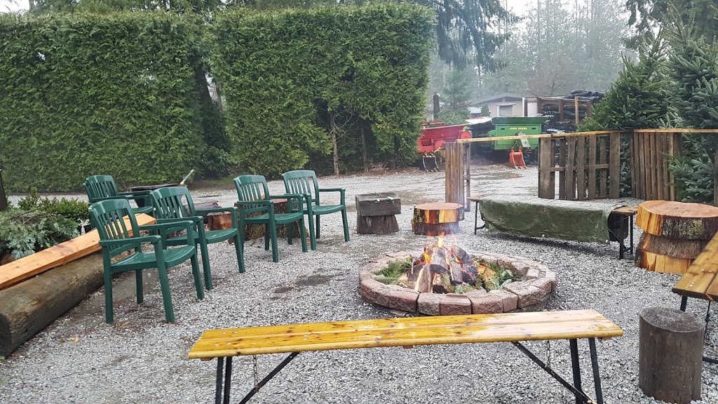 Murphys Christmas Tree Farm | 25377 124 Ave, Maple Ridge, BC V4R 1T8, Canada | Phone: (604) 479-0187