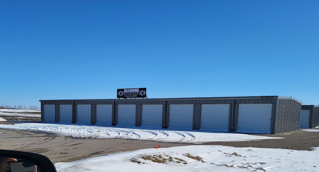 Diamond Storage | 750 Queen St, Blyth, ON N0M 1H0, Canada | Phone: (519) 441-3684