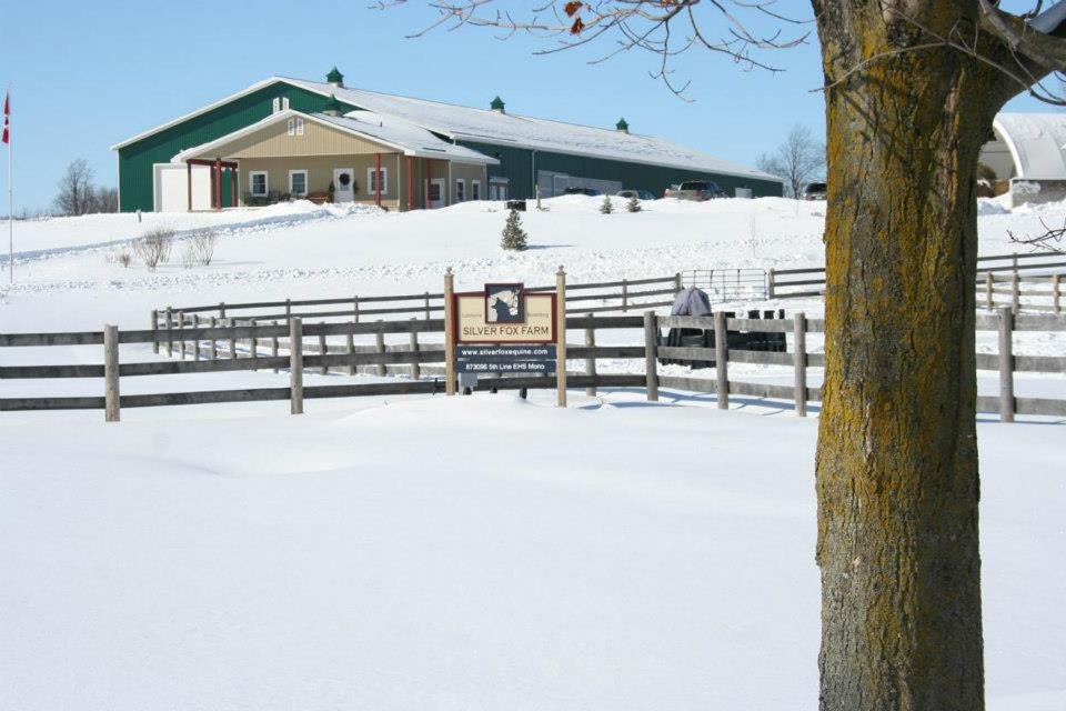 Silver Fox Farm | 873096 5 Line E, Mono, ON L9W 6A4, Canada | Phone: (647) 203-8348