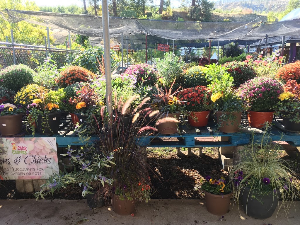 Riverside Greenhouse and Nursery | 211 Thorp Rd, Oliver, BC V0H 1T0, Canada | Phone: (250) 408-9500