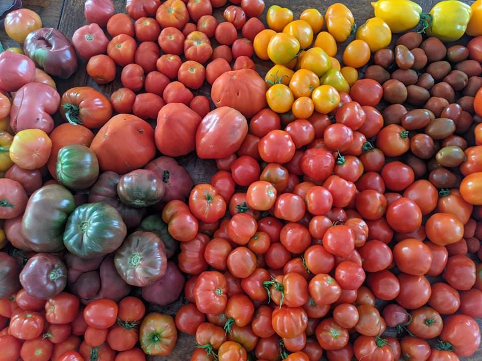 Les Jardins Épicuriens | 1320 Rang Papineau, Saint-Paul-dAbbotsford, QC J0E 1A0, Canada | Phone: (579) 361-3561
