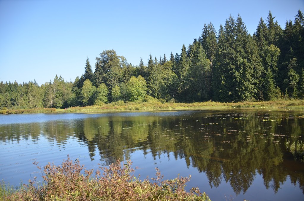 Rolley Lake Provincial Park | Bell St, Mission, BC V4S 1C6, Canada | Phone: (604) 466-8325