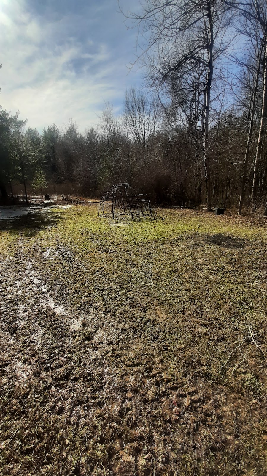Land of the dancing deer | 1208 3rd Line, Ohsweken, ON N0A 1M0, Canada | Phone: (226) 583-5119