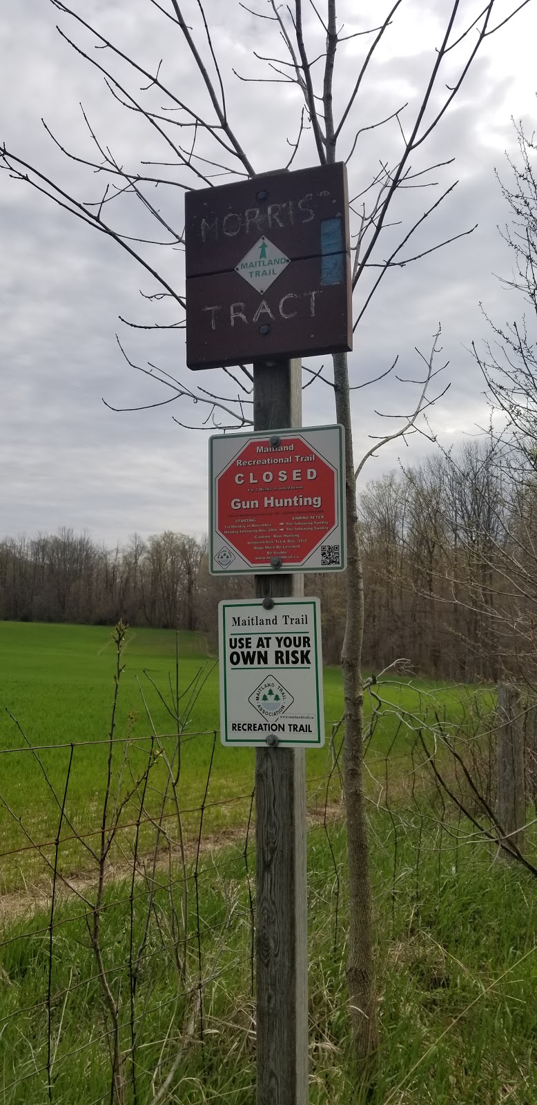 Morris Tract Provincial Nature Reserve | 36833 Londesboro Rd, Goderich, ON N7A 3Y1, Canada | Phone: (519) 243-2220