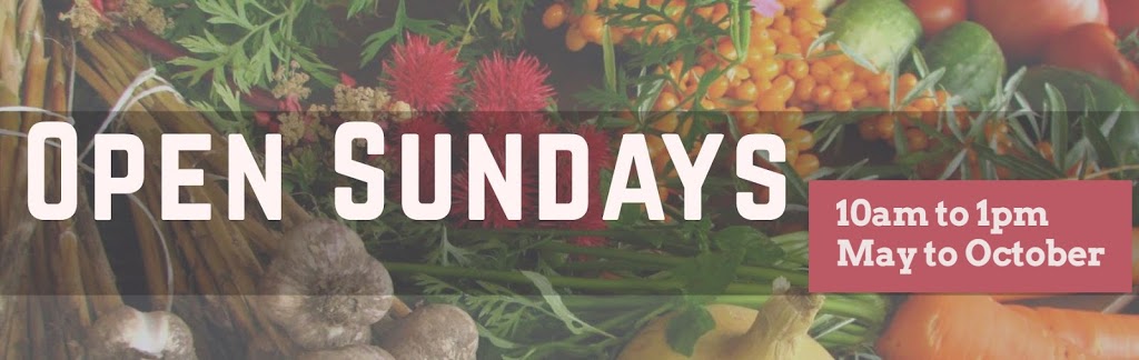 Codrington Farmers Market | 2992 County Rd 30, Codrington, ON K0K 1R0, Canada | Phone: (613) 475-4005