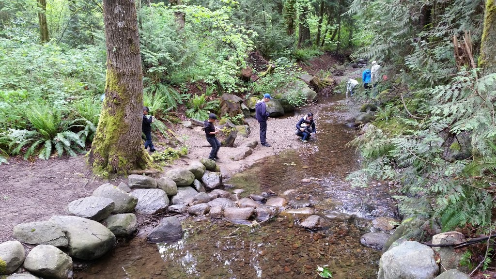 Hyde Creek Watershed Society | 3636 Coast Meridian Rd, Port Coquitlam, BC V3B 0E4, Canada | Phone: (604) 461-3474