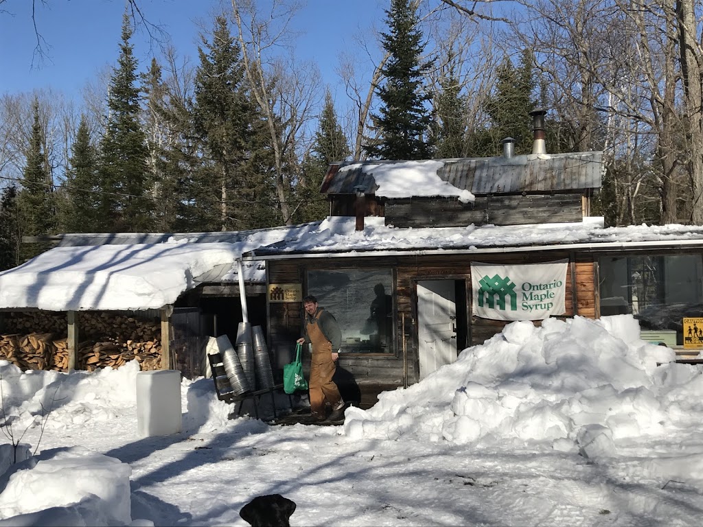 Wilkins Farm | 48 Wilkins Ln, Greater Madawaska, ON K7V 3Z9, Canada | Phone: (613) 859-6962