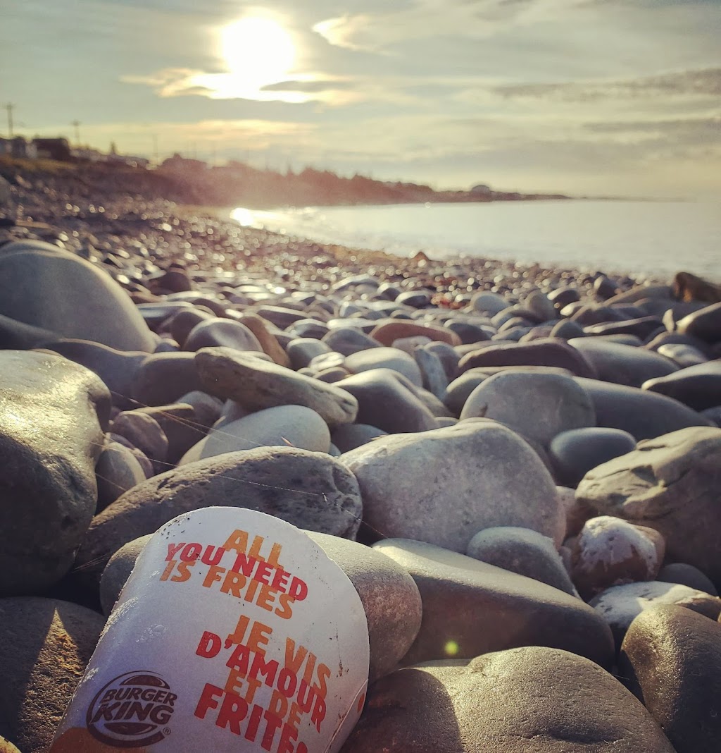 Scotian Shores | 53 Cannon Crescent, Eastern Passage, NS B3G 1E9, Canada | Phone: (902) 471-4073